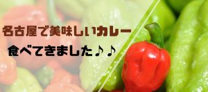 カレー画像